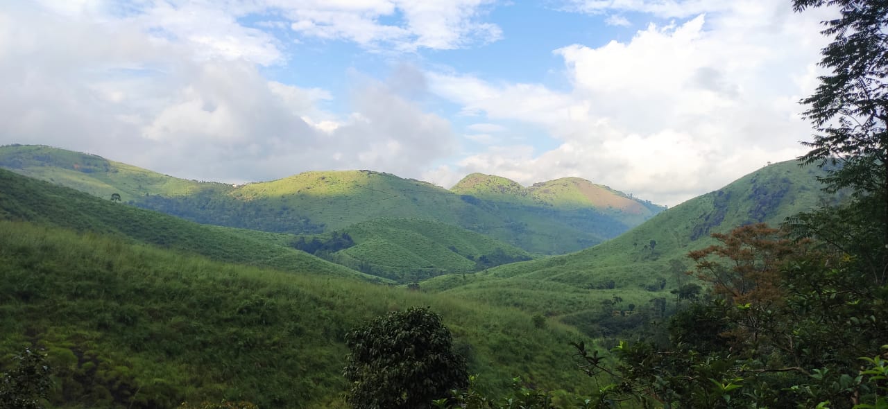 39cent of Land in Athani, Angamaly