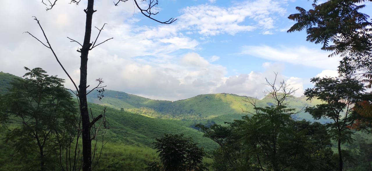 39cent of Land in Athani, Angamaly