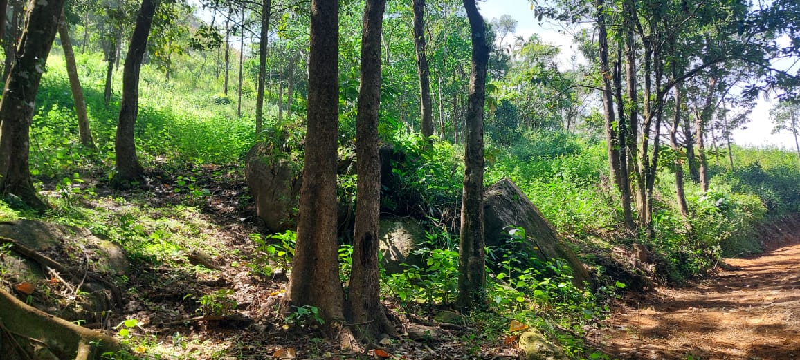 20 cents of Land in Vagamon