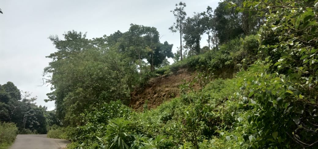 74cents of Land with Old House in Puthencruz