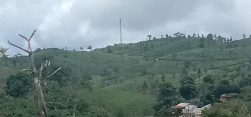 74cents of Land with Old House in Puthencruz