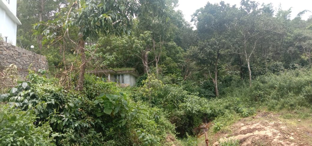74cents of Land with Old House in Puthencruz