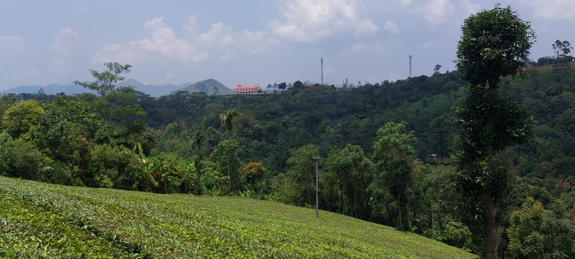 250 Cents of Land - for sale in Vagamon Idukki, Idukki, Kerala