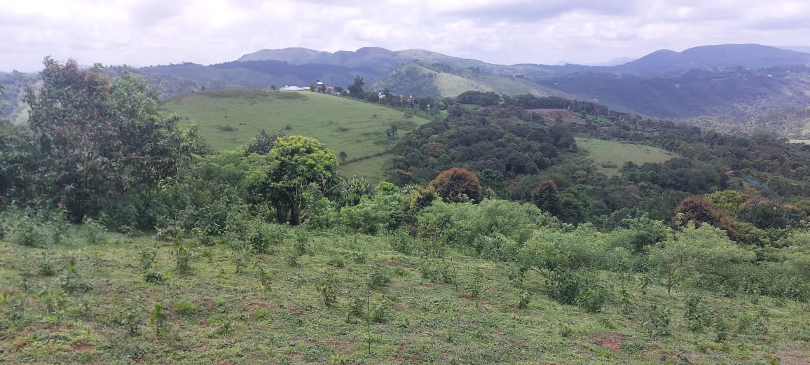 25cents of Land - for sale in Vagamon Idukki, Idukki, Kerala