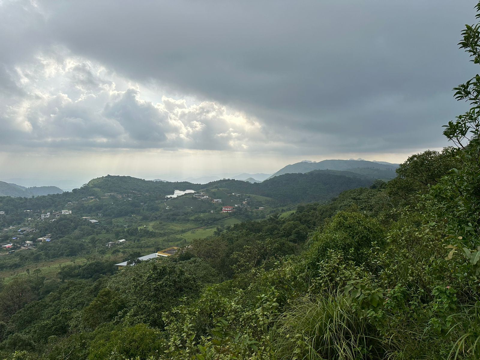 3 Acres of Land