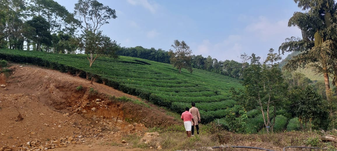 4.9cents of Commercial Land in MG Road