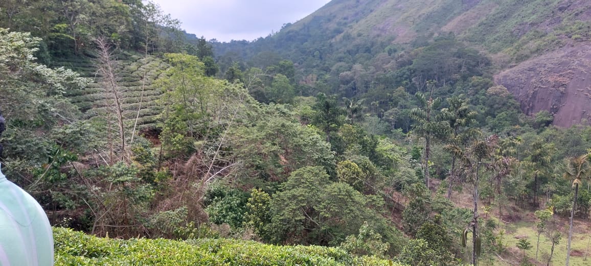 6 Acres of Riverside Property - for sale in Vagamon Idukki, Idukki, Kerala