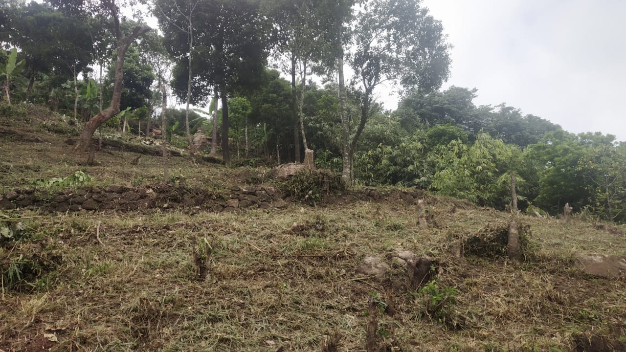 60cents of Land