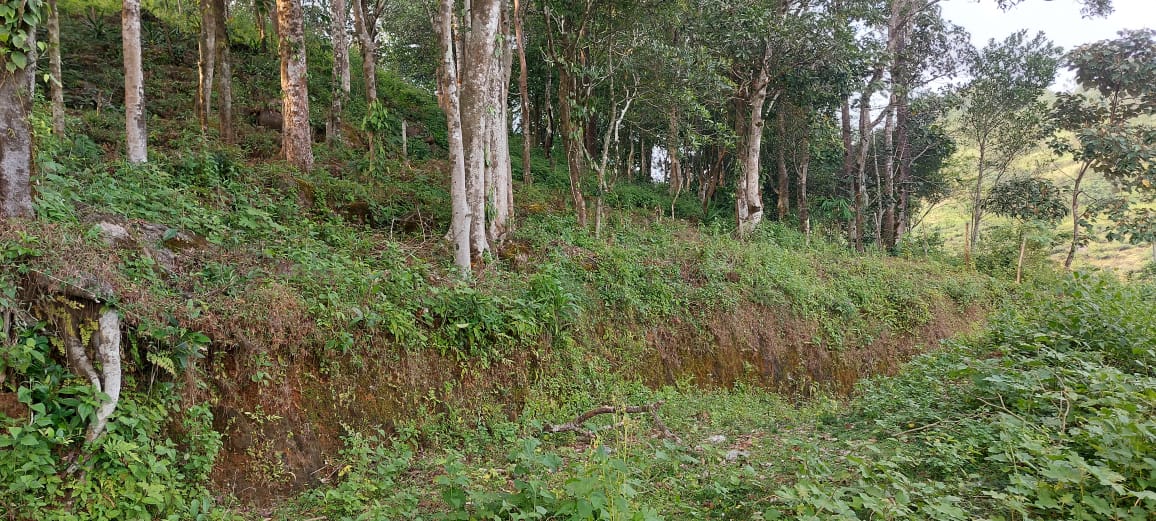 15cent of House Plot with house near Ponnurunni, Vyttila