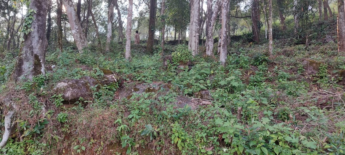 15cent of House Plot with house near Ponnurunni, Vyttila