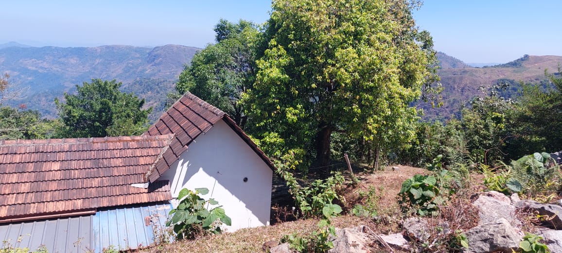 85 Cents of Pattayam Land - for sale in Vagamon Idukki, Idukki, Kerala