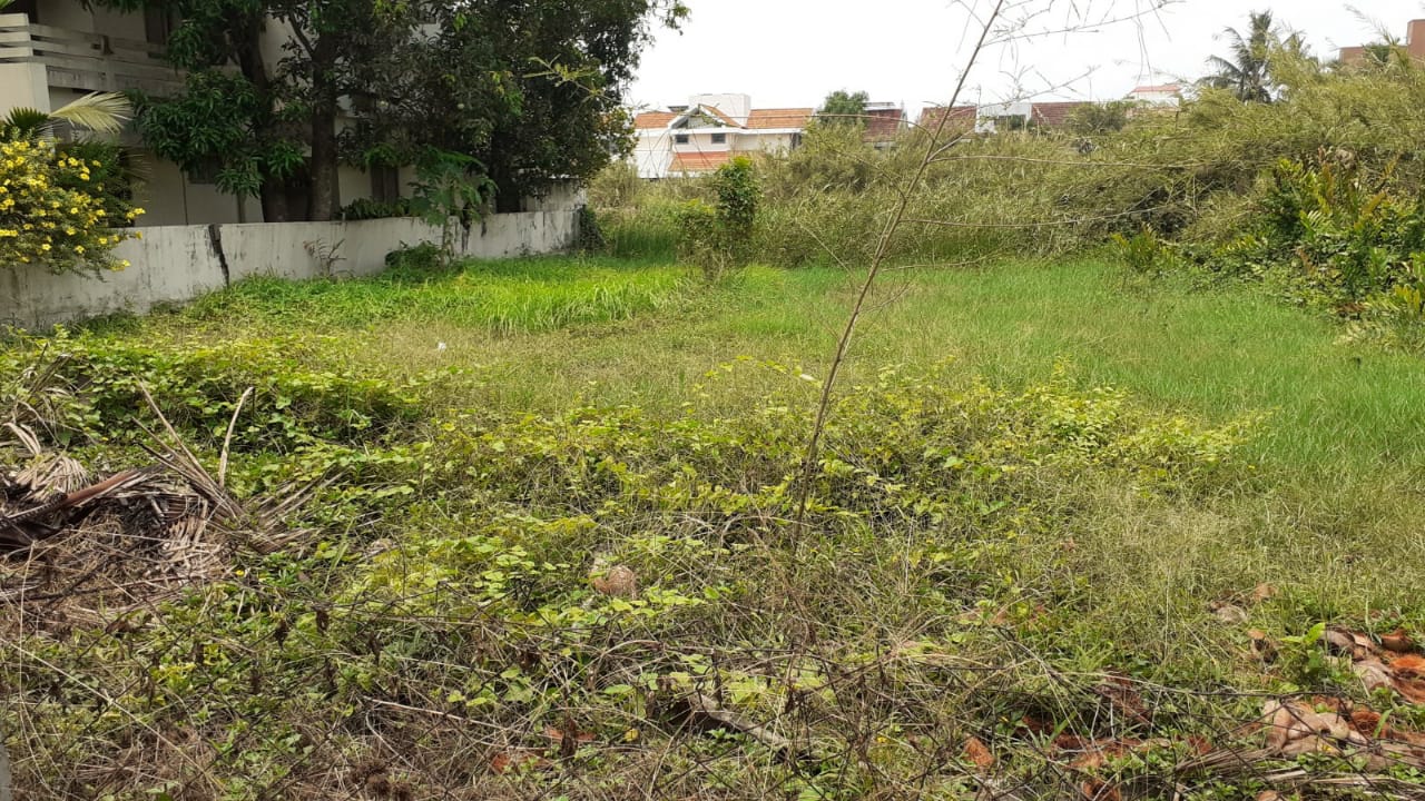 4Cents of Land