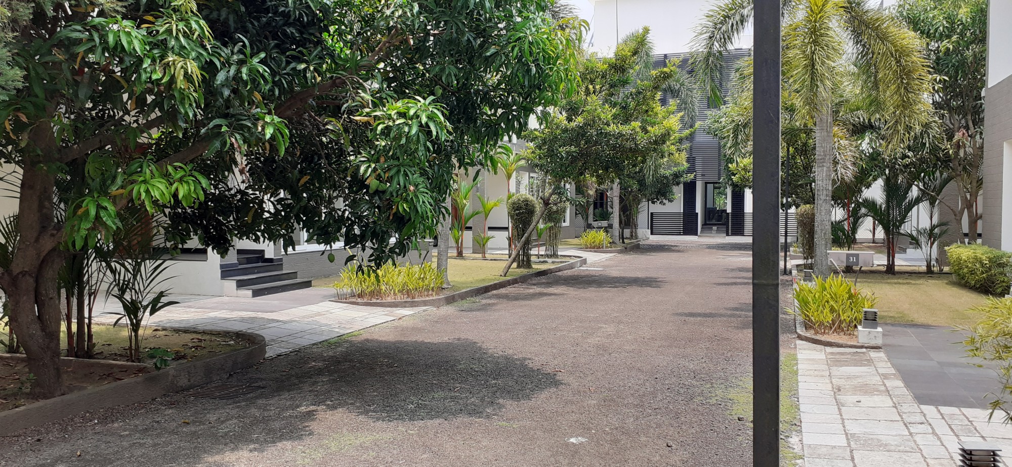 24cent of Residential Plot in Pazhamthottam, Pallikkara
