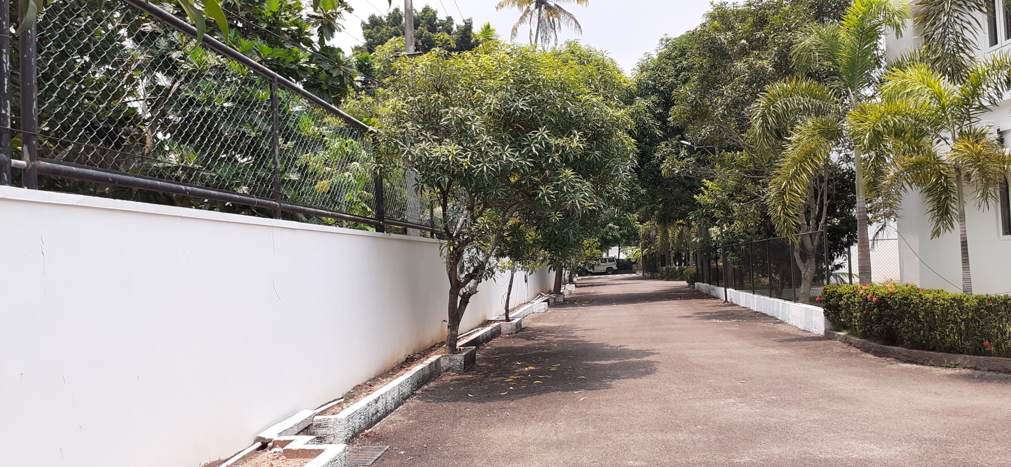 24cent of Residential Plot in Pazhamthottam, Pallikkara