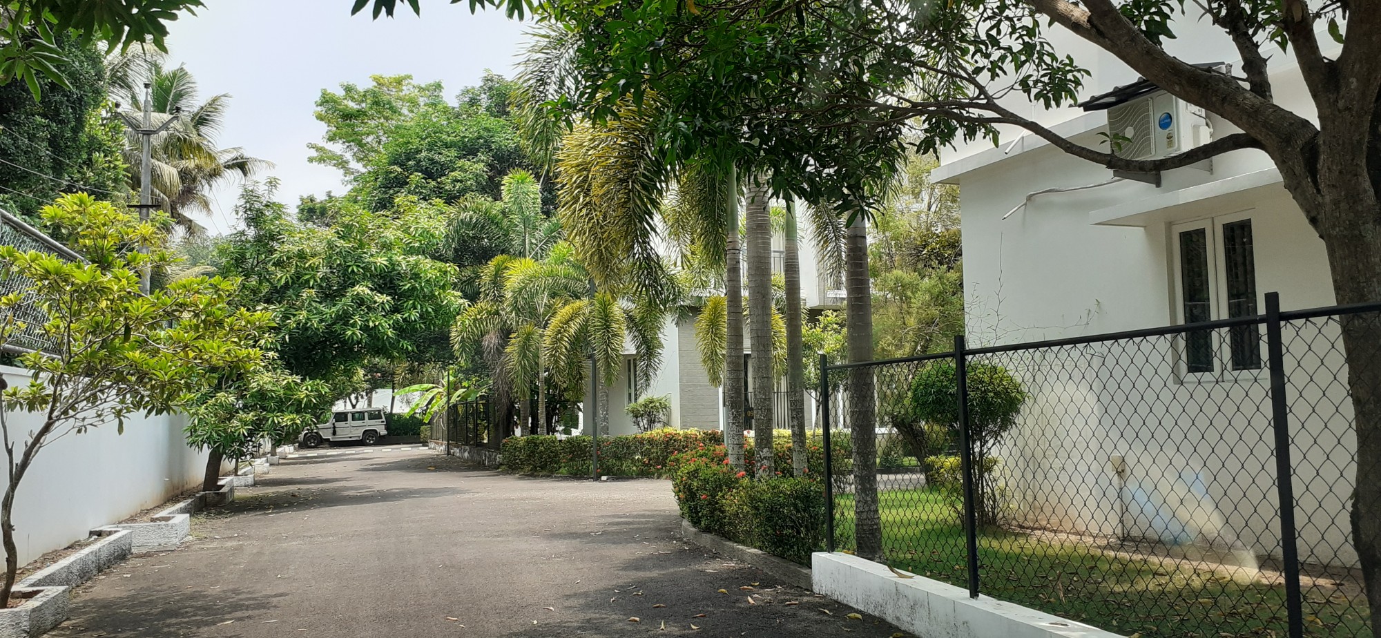 24cent of Residential Plot in Pazhamthottam, Pallikkara