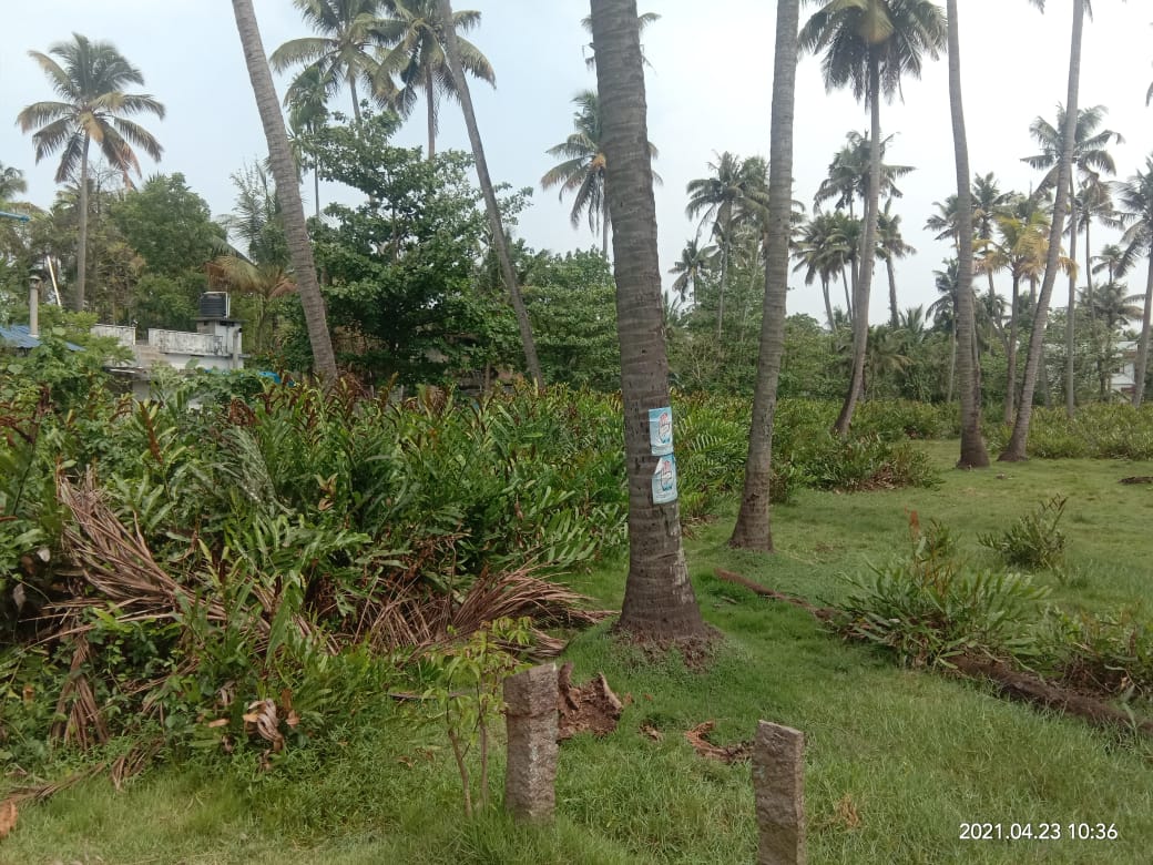 80Cents of Land