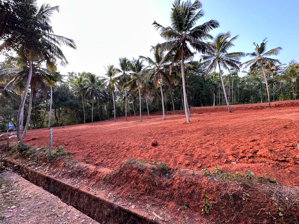 82cents of Land