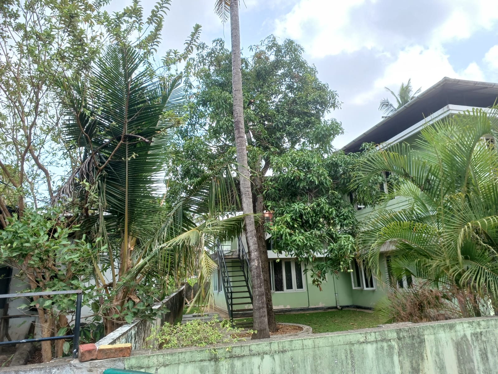 10.5 cent of Land with Old house