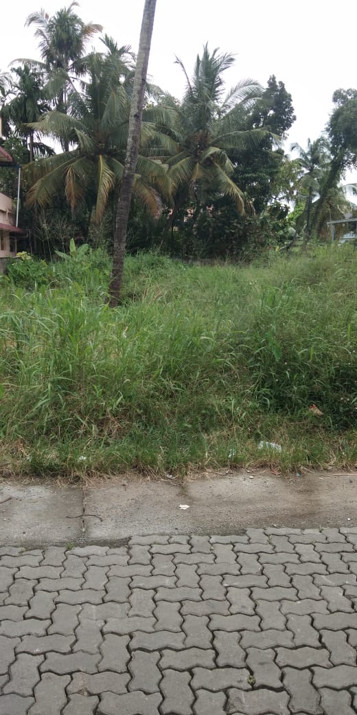 10.50 Cents Land - for sale in Thykoodam , Kochi ( Ernakulam ), Kerala