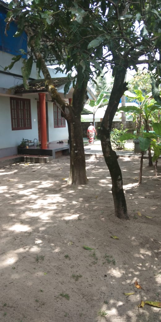 11 Cent Residential plot Eroor - for sale in Eroor, Kochi ( Ernakulam ), Kerala