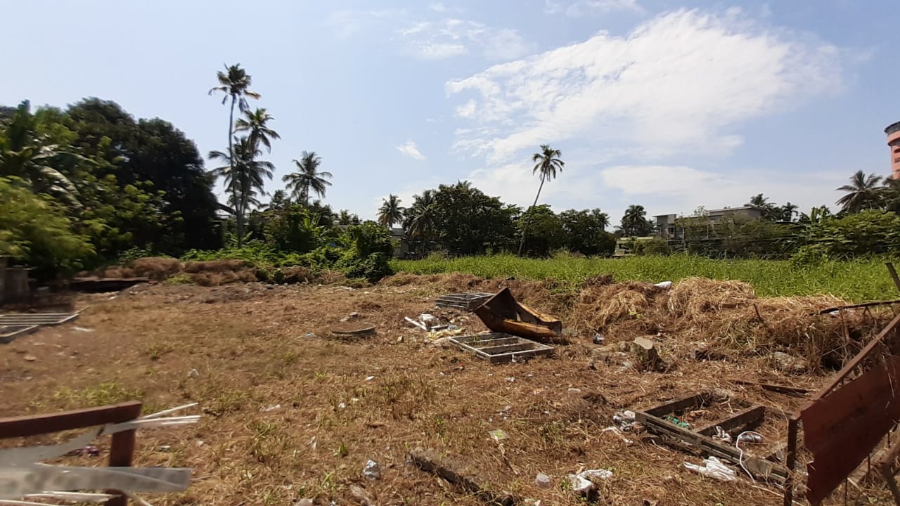20Cents of Commercial Land