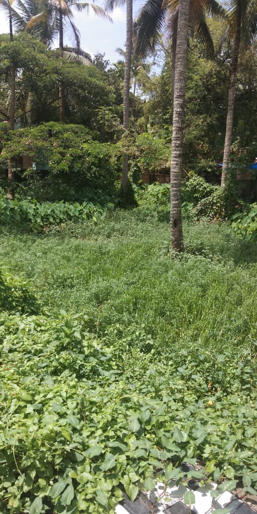 5 Cents of  Residential Plot - for sale in Kundannoor, Kochi ( Ernakulam ), Kerala