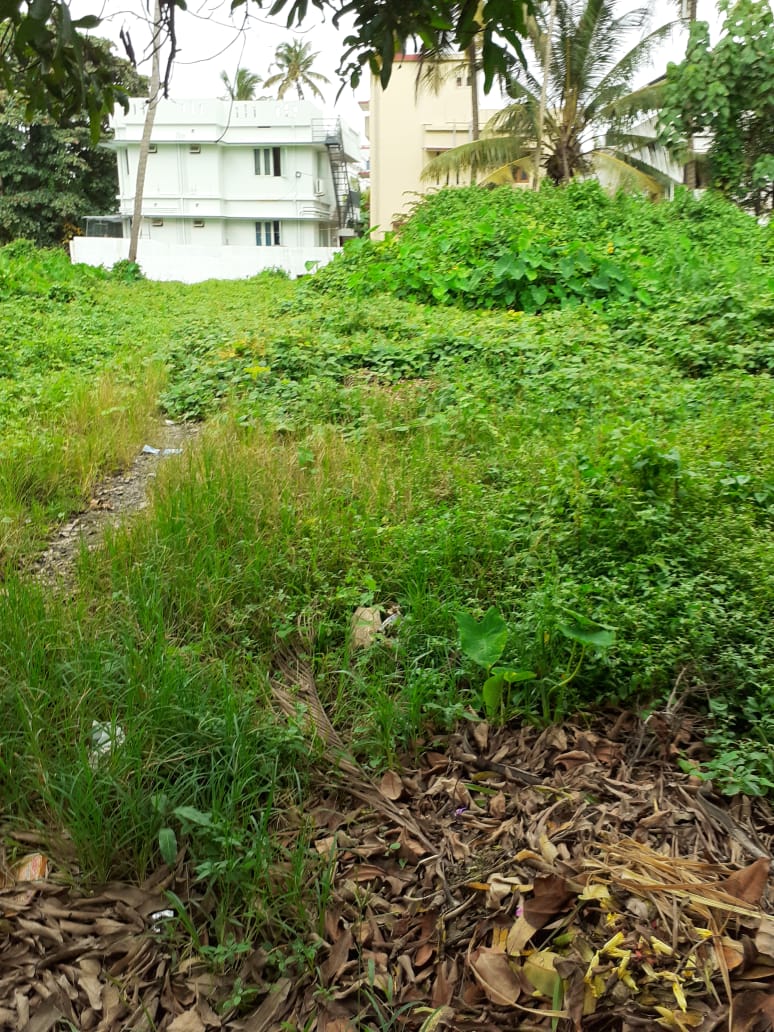 55 Cents of land for sale. - for sale in Vyttila, Kochi ( Ernakulam ), Kerala