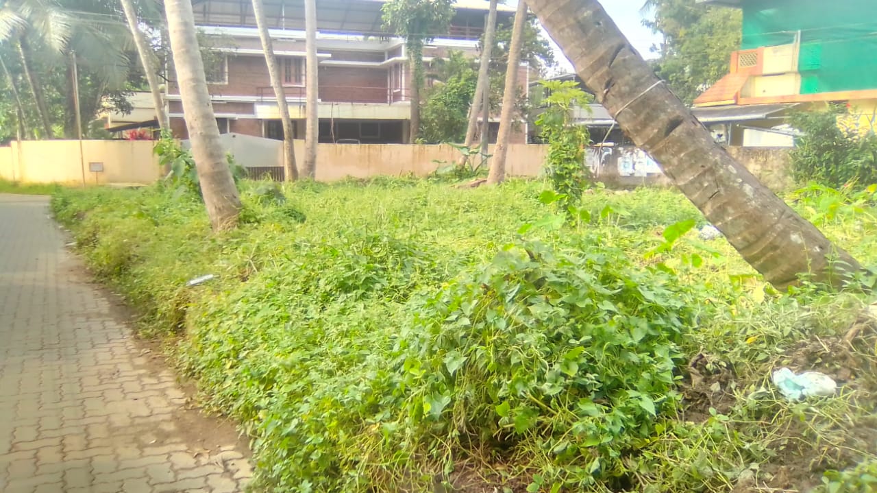 6.5Cents of Residential Property - for sale in Eroor, Kochi ( Ernakulam ), Kerala