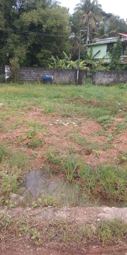 6 Cents of  Residential Plot - for sale in Kundannoor, Kochi ( Ernakulam ), Kerala