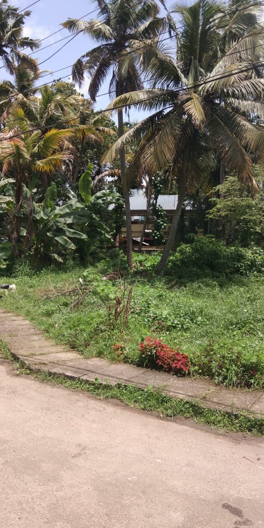 8.5 cent residential Plot - for sale in Eroor, Kochi ( Ernakulam ), Kerala