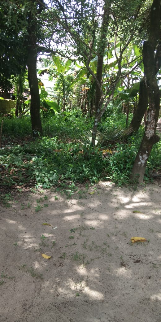 8 Cent Residential plot Eroor - for sale in Eroor, Kochi ( Ernakulam ), Kerala