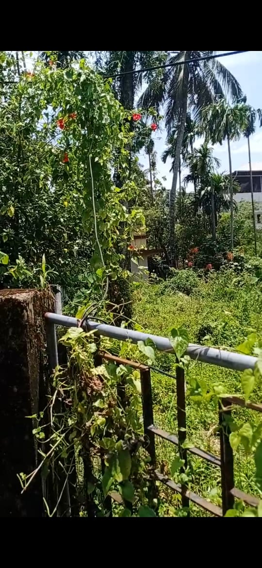 9 Cents of Commercial/ Residential Plot - for sale in Vytila, Kochi ( Ernakulam ), Kerala